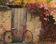 Red Bike Near Gate Lámina por Francisco Fernandez