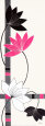 Fuchsia Lotus Stems Art Print by Alan Buckle