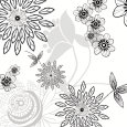 White Shadow  Lace Lámina por Kate Knight