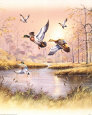 Marsh Ducks Art Print by Andres Orpinas