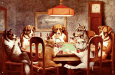 Animal Tin Signs Posters