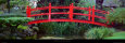 Jardins japonais Reproduction d'art par James Red