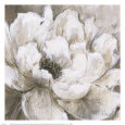 Peonies Blanche II Lámina por Liv Carson