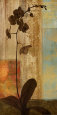 Sacré I Reproduction d'art par Chris Donovan