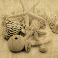The Collection I