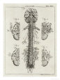 A. Bell Posters
