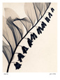 Solomon's Seal Art Print by Judith Mcmillan