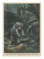 Italian Divers Working at Brest France Explore the Wreck of the British Steamship Egypt