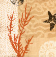 Coral Posters