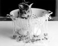 Kitten in Spagette Art Print
