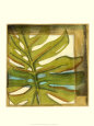 Seaside Palms III Lámina por Jennifer Goldberger
