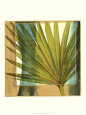 Seaside Palms I Lámina por Jennifer Goldberger