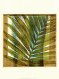 Seaside Palms II Lámina por Jennifer Goldberger