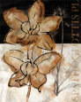 Blooming Orchid I Reproduction d'art par John Stevenson