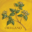 Orégano Lámina por Kate McRostie