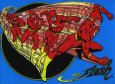 The Flash
