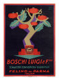 Italian Boschi Luigi Tomato Sauce Poster Giclee Print