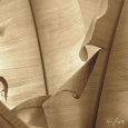 Banana Leaves II Art Print by Rene Griffith