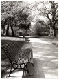 April in Paris Kunsttryk af Toby Vandenack