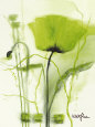 Flowers (Decorative Art) Posters