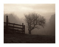 Farmland (B&W Photography) Posters