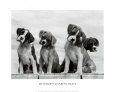 Wunder Kunstdruck von Sharon Beals