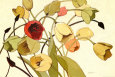 Flores (arte decorativo) Pósteres