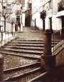Stairs of Venice Art Print by Steven Mitchell