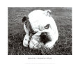 Obsess Art Print by Sharon Beals