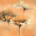 Daisies Posters