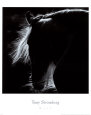 Mane Reproduction d'art par Tony Stromberg
