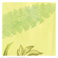 Feather Leaf Kunsttryk af Swan Papel