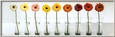 Gerbera Spectrum