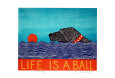 Animals (Limited Edition) Posters