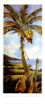 Deborah Thompson Posters