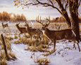 Cautious Crossing Art Print by Wilhelm J. Goebel