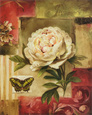 Peony and Butterfly Art Print by Lisa Audit