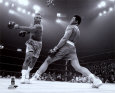 Sports Personality Photos Posters