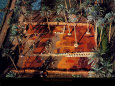 Séchage de dattes Reproduction d'art par Yann Arthus-Bertrand
