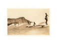 Surf / Planche à voile Affiches