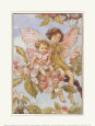 Cicely Mary Barker Affiches