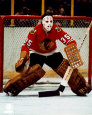 Hockey Hall of Famers Posters