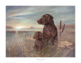 Labrador retrievers Affiches