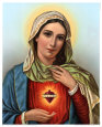 Sacred Heart of Mary Art Print