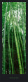 Vertical Zen Reproduction d'art par Guillaume Plisson