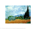 Champs de blé avec cyprès (van Gogh) Posters