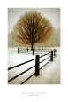 Solitude Art Print by David Winston