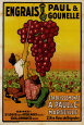 Grapes Posters