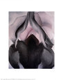Black Iris Art Print by Georgia O'Keeffe