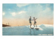 Hawai Posters
